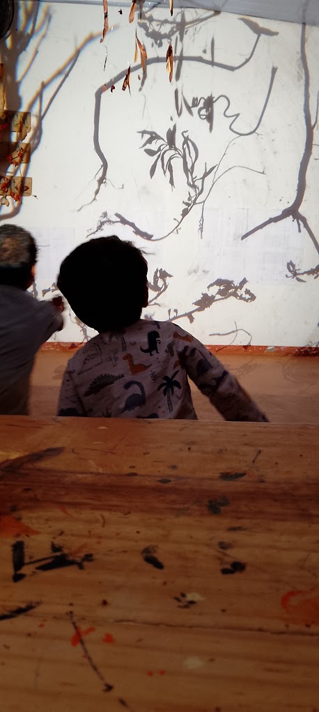 Criança observando projeções e sombras
